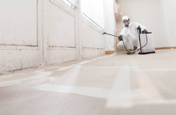 24/7 Emergency Mold Cleanup experts in Manchester, MI