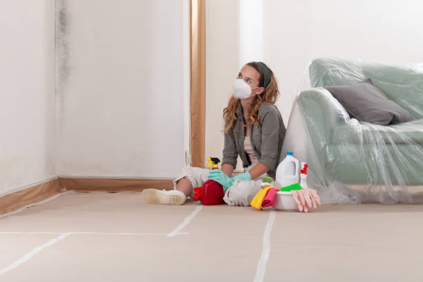 Reliable Mold Cleanup contractor in Manchester, MI by Cheap Mold Removal